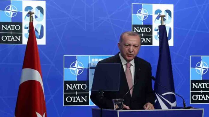 Erdoğan ve Nato
