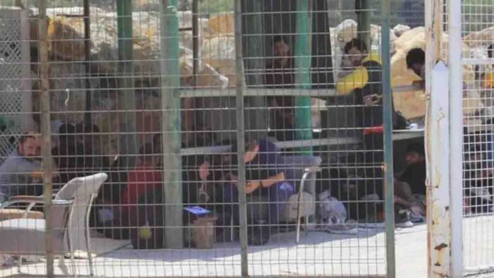 Kafese konulan mülteciler