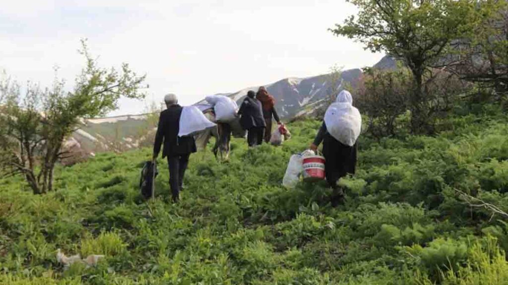 Sınır Hattındaki köyler