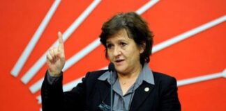 Birgül Ayman Güler