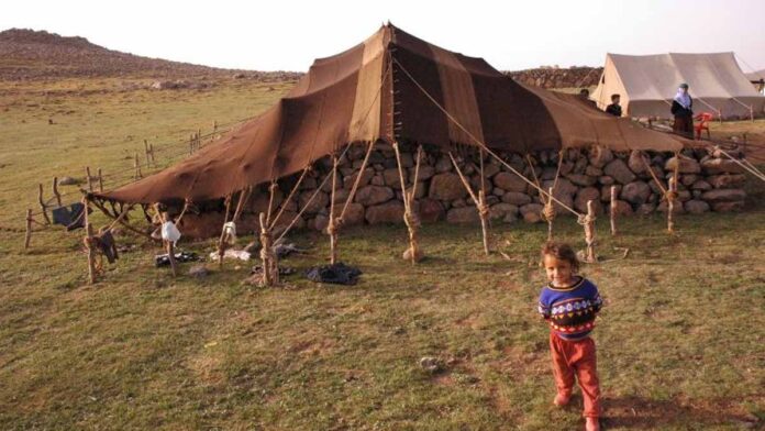 Aşiretlerin Kürt sosyal yaşamındaki yeri ve işlevi