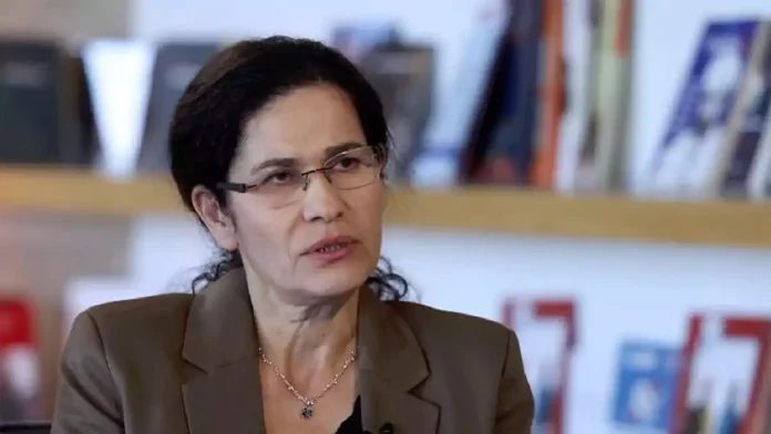 İlham Ahmed’den insan hakları çağrısı