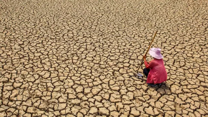 Toprak Atlası 2025 Türkiye ne söylüyor?