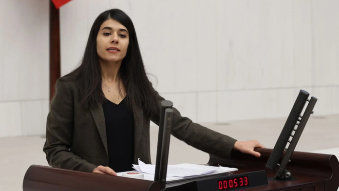 Beritan Güneş: Rojava protestolarında işkenceye gören çocuklar serbest bırakılmalı