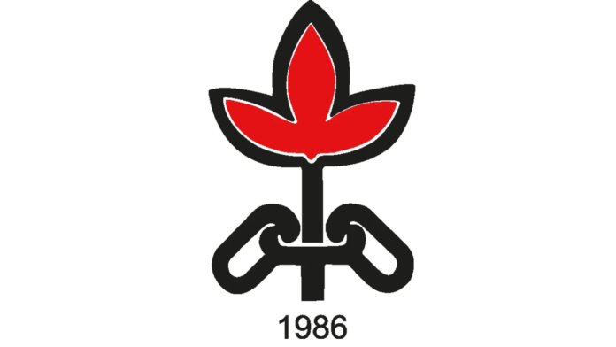 İHD'den süreç raporuna eleştiri: Kürt meselesi yerine güvenlik vurgusu öne çıktı, dili barışın ruhuna uygun değil