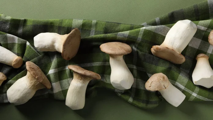 İnternette şifalı mantar dolandırıcılığı: İyileştirme vaadiyle binlerce dolar alıyorlar