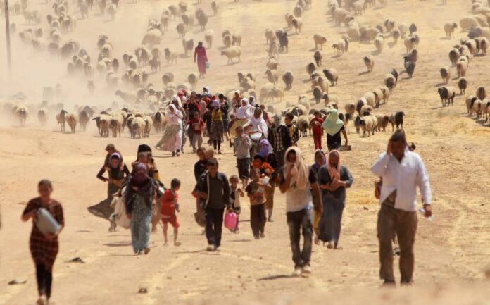 Kurdên Êzidî, ji bo bi sûcê komkujiyê werin darizandin giliyê DAIŞiyan dikin