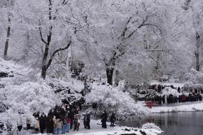 New York'ta soğuk hava nedeniyle 18 kişi hayatını kaybetti