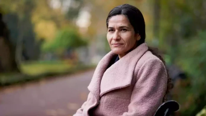 İlham Ahmed: Anayasa yazımına katılacağız