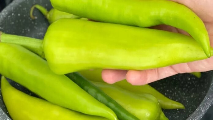 Acı Biber mi Tatlı Biber mi?