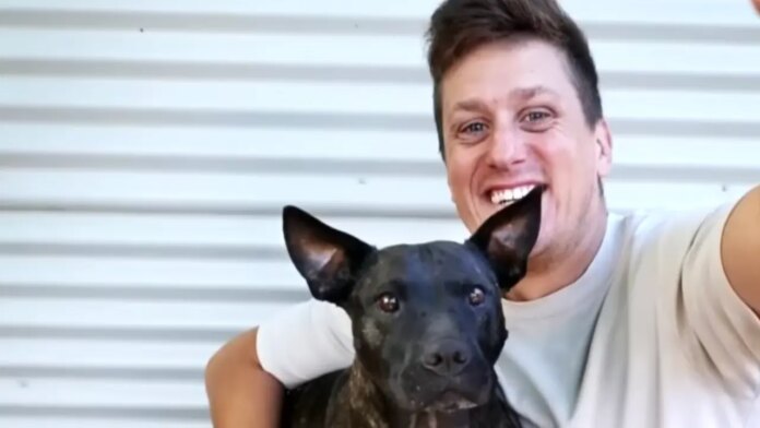 Yapay zeka destekli kanser aşısı