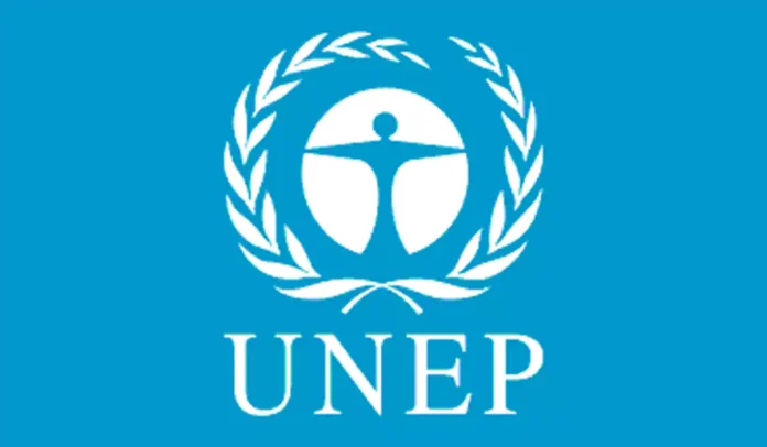 UNEP Raporu: Doğayı korumaya 1 dolar, doğaya zarar veren faaliyetlere 30 dolar harcanıyor