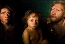 Neandertal bebekleri modern insandan hızlı büyüyordu