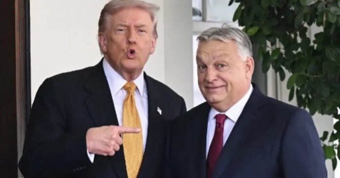 Trump'tan Orban'a destek vaadi | Macaristan seçimleri
