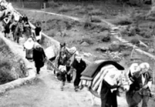 Boraltan Köprüsü Faciası