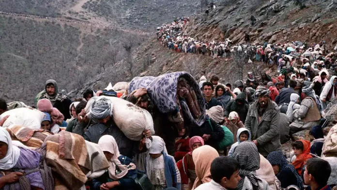 BMGK’nin 688 sayılı kararı: Kürtler için yaşamsal kalkan