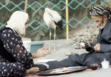 Kanatların Şarkısı, ABD'de en iyi ilk film ödülünü kazandı