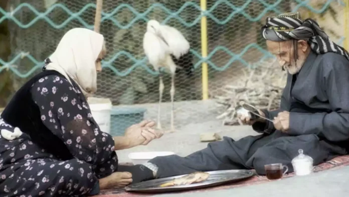 Kanatların Şarkısı, ABD'de en iyi ilk film ödülünü kazandı