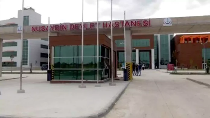 Nusaybin'de Mayın İki Çocuğu Yaraladı