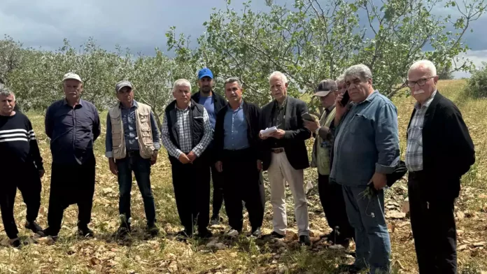 Pazarcık, Besni ve Gölbaşı’nda dolu felaketi çiftçiyi vurdu: “Bu yıl gitti, gelecek yıl da yok”