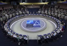 NATO “Neyin Nesi” mi?