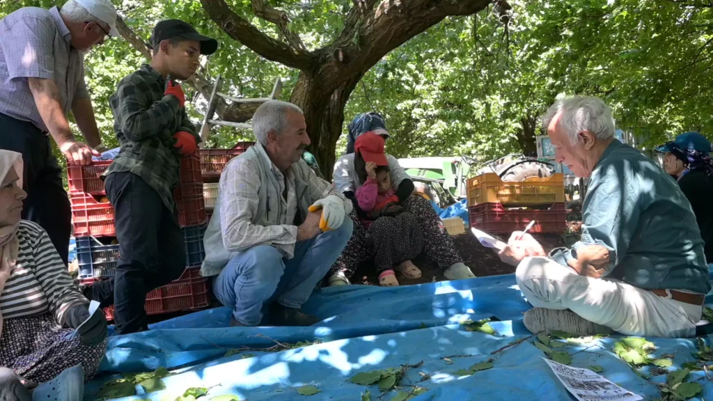 mevsimlik tarım işçileri