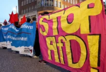 AfD Seçimleri Nasıl Değerlendirilmeli?